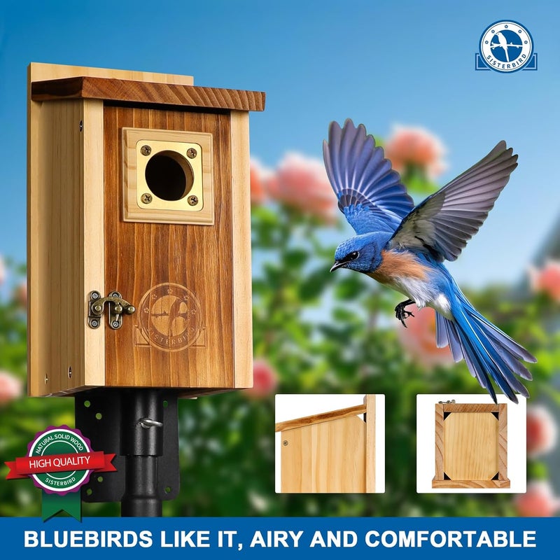 SISTERBIRD Pack of 2 Bluebird Houses for Outside, Premium Wooden Bird Houses for Outdoor, Weatherproof Blue Bird House, Bluebird Swallow Chickadee Wren, Assembly Required - Image 2